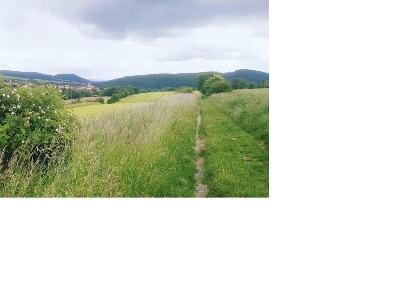 Aussergewoehnliche Auszeit - Metime1 Felsberg Exterior foto